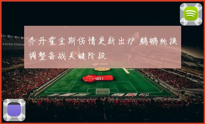 乔丹霍金斯伤情更新出炉 鹈鹕轮换调整备战关键阶段