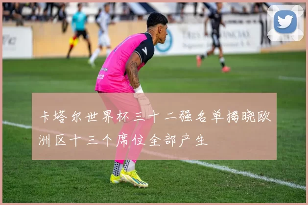 卡塔尔世界杯三十二强名单揭晓欧洲区十三个席位全部产生